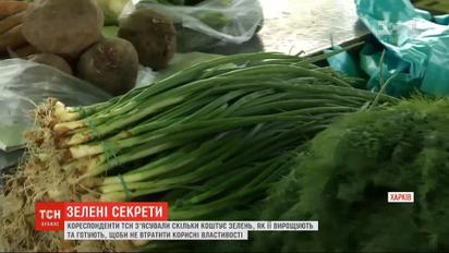 Петрушка, кріп і цибуля: як готувати зелень, аби вона не втратила корисні властивості
