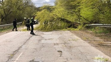 Поліція і наслідки негоди_9