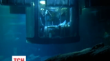 Екстремали-романтики провели ніч із акулами в Паризькому акваріумі