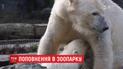 В зоопарке Берлина сразу в нескольких животных родились малыши