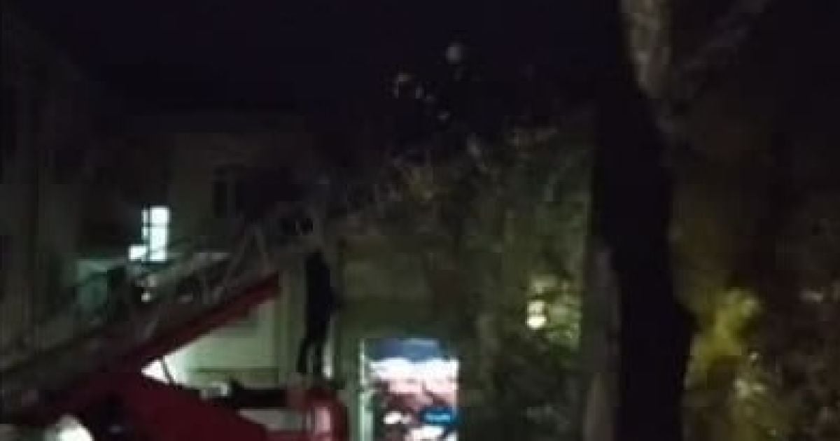 Под Запорожьем мужчину, который вскарабкался на дерево и угрожал прыгнуть, снимали 10,5 часов (видео)