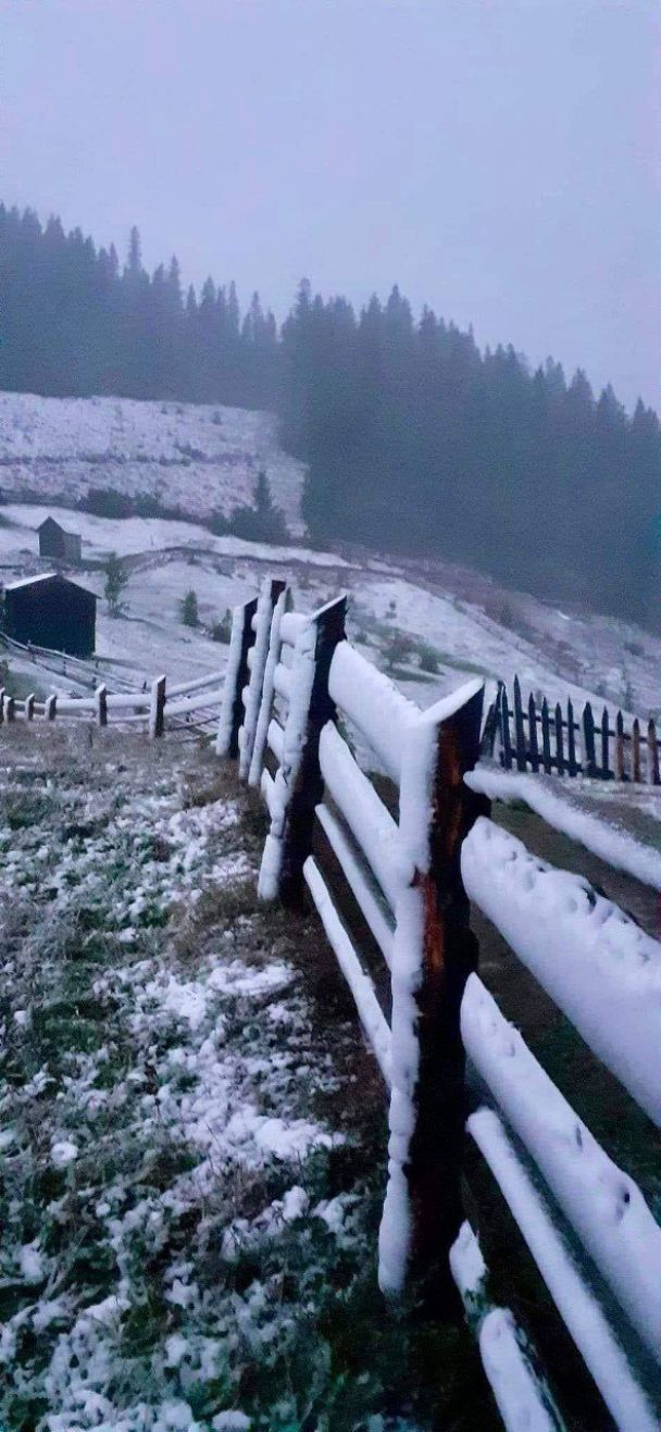 Перший сніг в Україні. Фото із соцмереж / © 