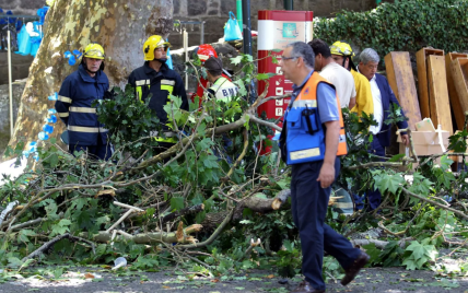 Трагедія на Мадейрі: дерево розчавило щонайменше 11 людей, десятки поранених