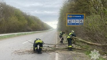 Поліція і наслідки негоди_8