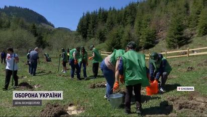 Отблагодарить местных: на Буковине переселенцы высадили две тысячи деревьев