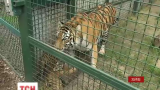 Харківський зоопарк поповнився новими звірятами