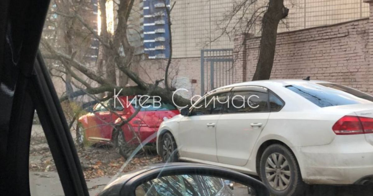 На Киев обрушилась непогода: деревья падают на автомобили и обрывают провода (фото, видео)