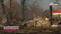 Массовые пожары на Киевщине! Вот к чему приводит поджог сухостоя - страшные последствия