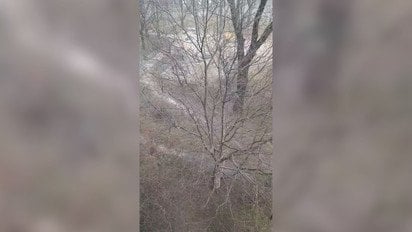 Сніг замітає Київ