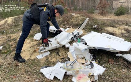 В Киевской области нашли остатки российского беспилотника (фото)
