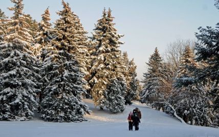 В Украине ночью местами будут трещать морозы до 24 градусов. Прогноз погоды на 20 января