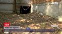 Новости Украины: связали скотчем и зарезали - подробности убийства подростка с Житомирской области
