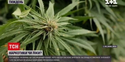 Закон о конопле в украине заработок на марихуане