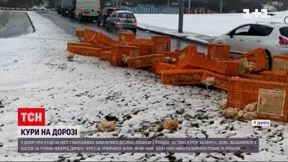 У Дніпрі з вантажівки випали десятки кошиків з птицею
