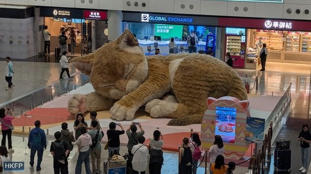 Аеропорт Гонконгу встановив інсталяцію рудого кота. Фото: HKFP﻿