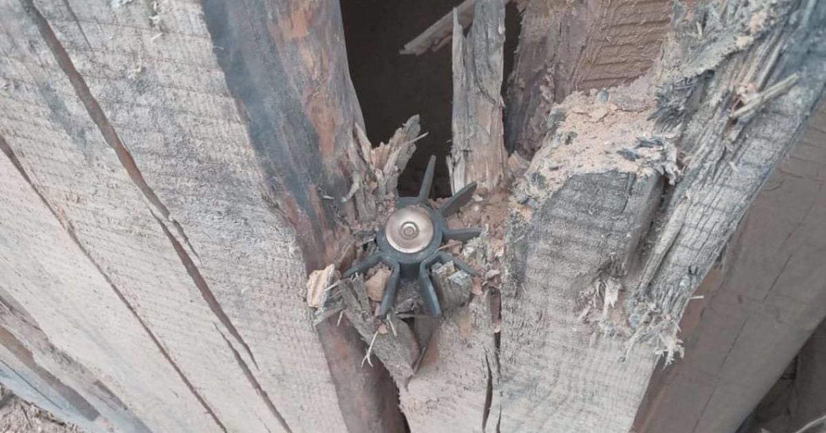 У Чернігівській області внаслідок ворожого обстрілу загинула жінка на своєму обійсті / © Facebook/Поліція Чернігівської області