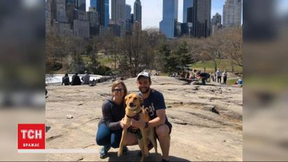 Собака, которую жестоко пытались убить догхантеры, живет на Манхэттене и снимается для глянца