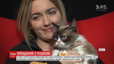 Найсердитіша кішка у світі померла у США