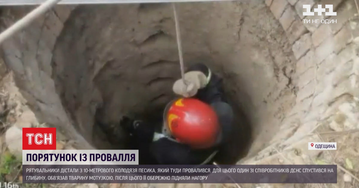 В Одеській області з глибокого колодязя визволили собаку: відео порятунку