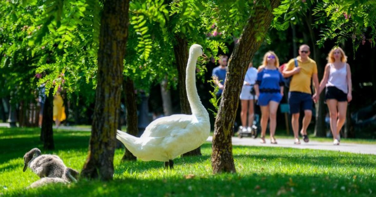 Різкі "стрибки" температури з грозами і вітрами: кліматологиня попередила українців про незвичну погоду влітку-2022