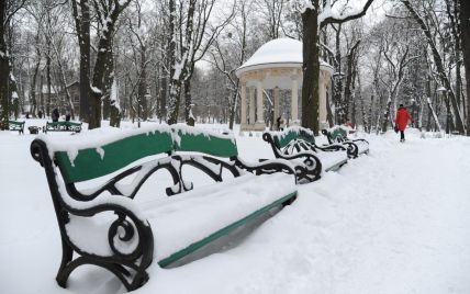 В большинстве областей будет идти снег: прогноз погоды в Украине на среду, 26 января