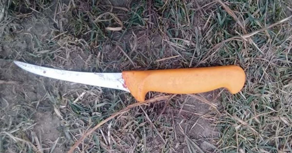 Место трагического несчастного случая на Чертковщине, где мужчина погиб из-за ножевого ранения во время колки свиньи.