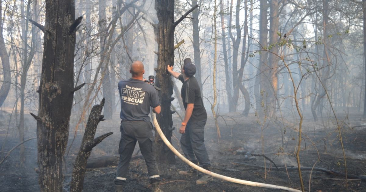 Пожежа в лісі поблизу військових складів у Гончарівську на Чернігівщині