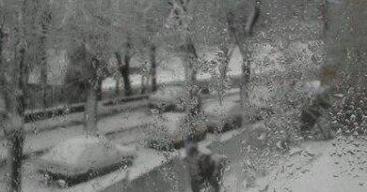 Західну Україну засипало снігом / © twitter.com/Solia_