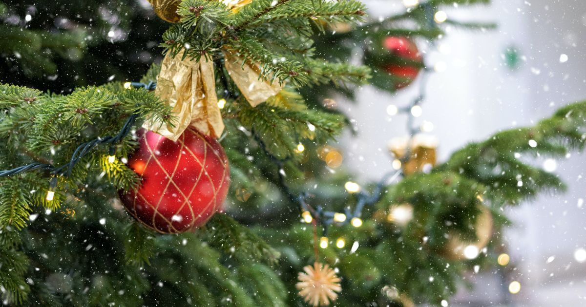 Різдвяна ялинка