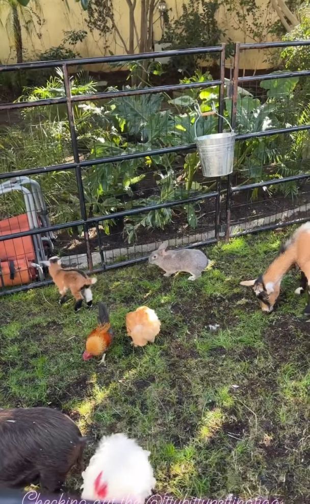 Син Періс Гілтон відсвяткував перше день народження / © instagram.com/parishilton