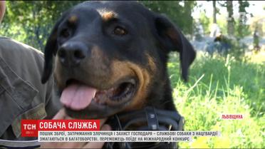 Для служебных собак с Нацгвардии провели соревнования по многоборью