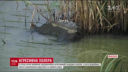 У річці Інгул в Миколаєві випадково виявили дуже агресивний збудник холери