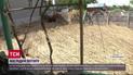 Вода на Миколаївщині відступила: мешканці сіл в шоці від наслідків