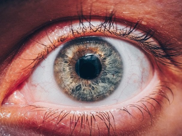 27 вересня Всесвітній день сітківки / © pexels.com