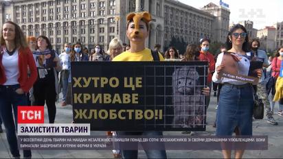 Аби нагадати владі про проблеми експлуатації та знущання з тварин, зоозахисники вийшли у центр Києва