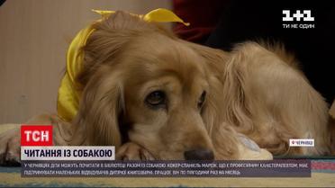 В Черновцах в детскую библиотеку раз в месяц приходит дрессированный спаниель Марсик | Новости Украины