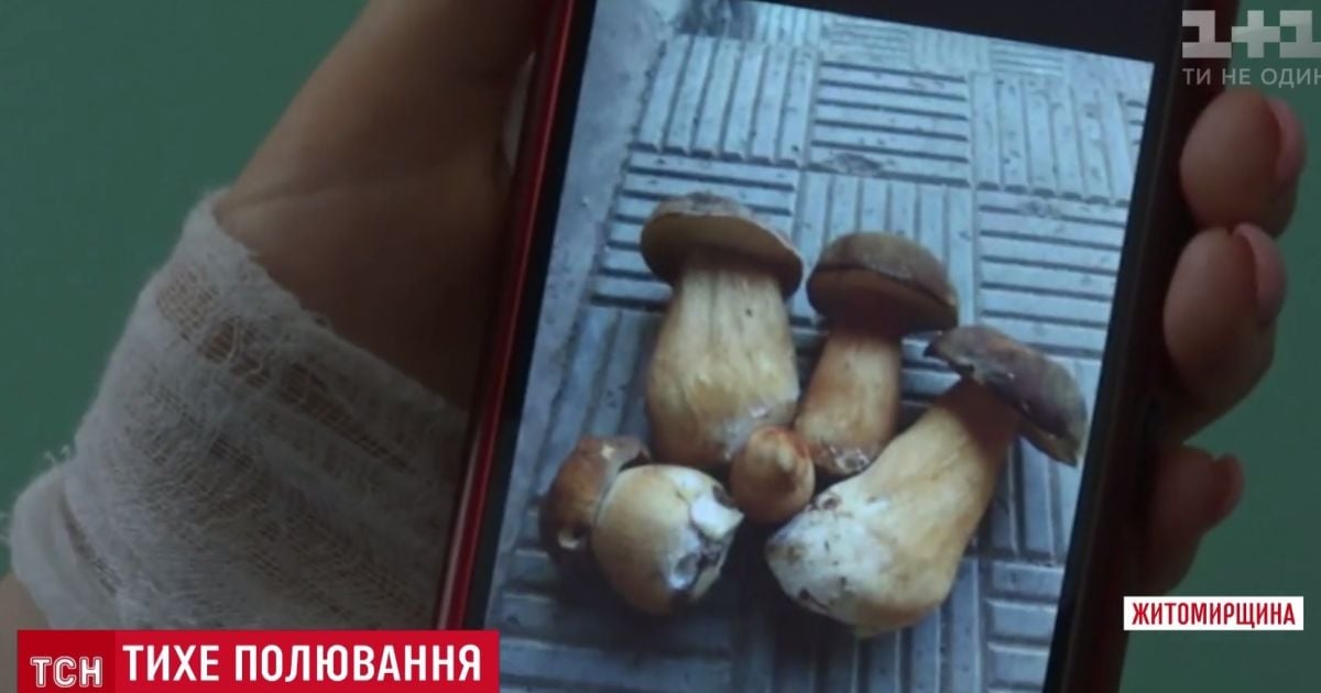 На Житомирщині ціла родина з дітьми потрапила до реанімації через гриби