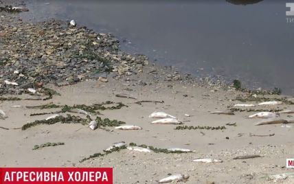 Збудник холери агресивний: у Миколаєві готуються до повторення епідемії, котра забрала десятки життів