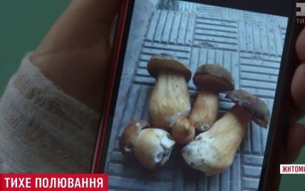 На Житомирщині ціла родина з дітьми потрапила до реанімації через гриби