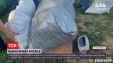 Новости Украины: наркобарон из Николаевской области - мужчина собрал урожай конопли на 11 миллионов