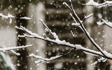 Сильний снігопад та заметені дороги: синоптики попередили про небезпеку на Львівщині