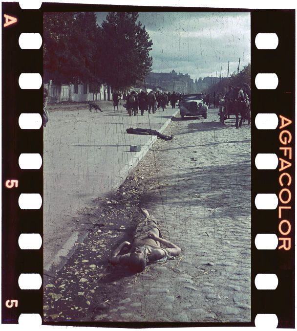 1941, Украина, Киев. Трупы убитых киевлян на бульваре Тараса Шевченко (ныне часть пр.Победы) в оккупированном Киеве. Мимо проходят люди, направляющиеся в Еврейского (Галицкого) рынка. Убитые — вероятно, евреи, отказались по приказу оккупантов прибыть на пункт сбора 29 сентября. Вероятно 1 октября 1941 Автор фото: Archives of the Hamburg Institute for Social Research/Johannes Hähle