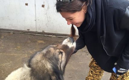 Руслана обязалась помогать бездомным животным