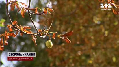 Холод, порывистый ветер и первый снег: погода на неделю