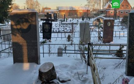 В России праздничную елку для детей срубили на кладбище
