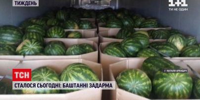 Новости за сутки: в России разбился самолет, Чехия делает разворот от России и арбузы даром в Днепре