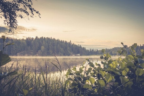 Народні прикмети 22 серпня / © unsplash.com