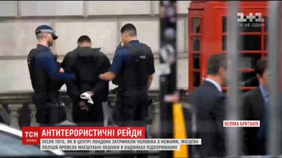 Лондонская полиция провела обыски в домах подозреваемых в подготовке терактов