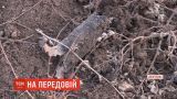 На фронте из-за обстрелов боевиков погиб 20-летний украинский боец