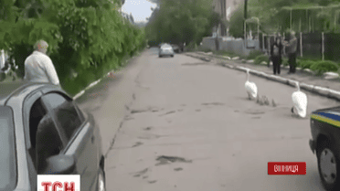 На Вінниччині родина лебедів проводжала міліціонерів у зону АТО